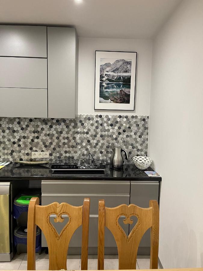 Apartamenty Ermitage Закопане Экстерьер фото